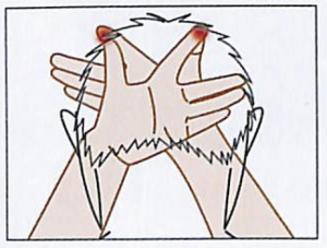 育毛シャンプーの利用方法を解説している画像